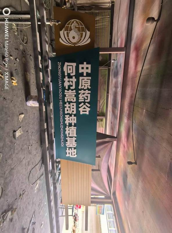 中原藥谷精神堡壘